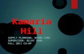 Kamaria Hill_JnJ Final Co-op Presentation Revised
