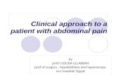 Clinical approach to apatient with abdominal pain