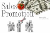 Ch17 how should sales promotion decisions be made