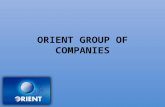 Orient group of companies