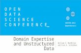 Domain Expertise and Unstructured Data