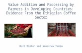 Value Addition and Processing by Farmers in Developing Countries:Evidence From the Ethiopian Coffee Sector