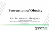 Ueda2015 prevention of obesity dr.mohamed abuel-ghate