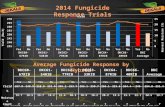 Fungicide response by hybrid trials