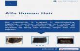 Alfa Human Hair, Chennai, Bulk Hair