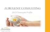 Aurulent consulting profile 2013