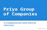 Priya Group Company Profile Created by Write Turn Services