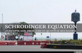 Schrodinger Equation. Concepts and problems in Quantum Mechanics. Part-I