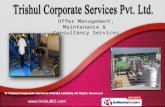 Labour Consultancy Services by Trishul Corporate Services Private Limited Chennai