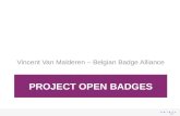 Project Open Badges Selor (Belgian Badges)