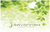 Savannah  brochure