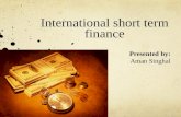International short term finance