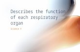 1st science 12 describes the function of each respiratory organ
