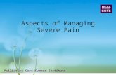 Aspects of Managing Severe Pain