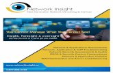 Network Insight Brochure 2015-v3