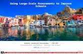 Using Large Scale Assessments to improve schools