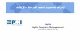 Agile program management