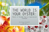 The World is Your Oyster: Pearls of Wisdom from an Experienced Traveler