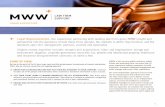 MWW Expertise: Law Firm Support