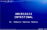 Amibiasis intestinal