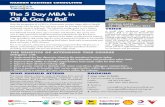 5 day MBA in oil and gas Bali 2015