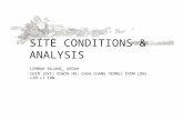 Site conditions-analysis