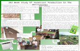 282 week study of vermicast production in the philippines
