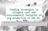 Feeding Strategies to Mitigate Cost and Environmental Footprint of Pig Production in the US