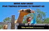 Wine and Sass! - Five Things Episode 19 Taught Us