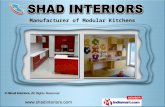 Modular Kitchen & Interior Designing by Shad Interiors, Gurgaon