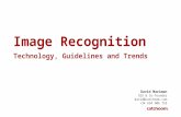 Image Recognition. Technology, Guidelines and Trends