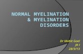 Myelination disorders