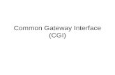 Common gateway interface
