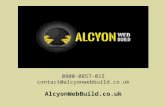 Alcyon WebBuild Marketing for Veterinarians PowerPoint