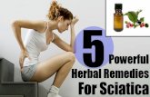 5 Powerful Herbal Remedies For Sciatica