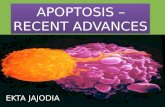 Seminar- recent advances in apoptosis