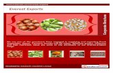 Ev erest exports, Namakkal,  Fresh Vegetables