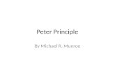 Peter principle reworked in MatLab
