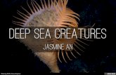 Deep sea creatures
