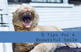 5 Tips for A Beautiful Smile