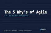 5 Why's of Agile