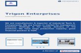 Trigon Enterprises, Pune, Solid Carbide End Mill Cutter