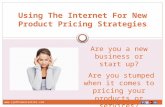 Using the internet for new product pricing strategies