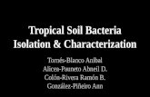 Tropical Soil Bacteria Isolation & Characterization