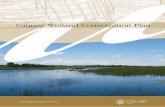 Wetland conservation plan