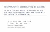 Peritraumatic Dissociation in Labour: Is it a sentinel signal of mothers at risk for impaired parenting and a new opportunity for preventative practice?