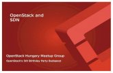 OpenStack Meetup - SDN