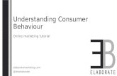 Understanding Consumer Behaviour