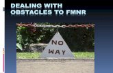 FMNR: Dealing with Obstacles