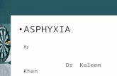 Asphyxia and airway death